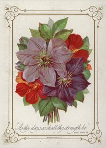 Bouquet de fleurs - English School